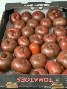 Heirloom Tomatoes Cherokee