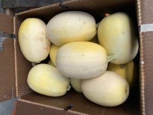 Spaghetti Squash