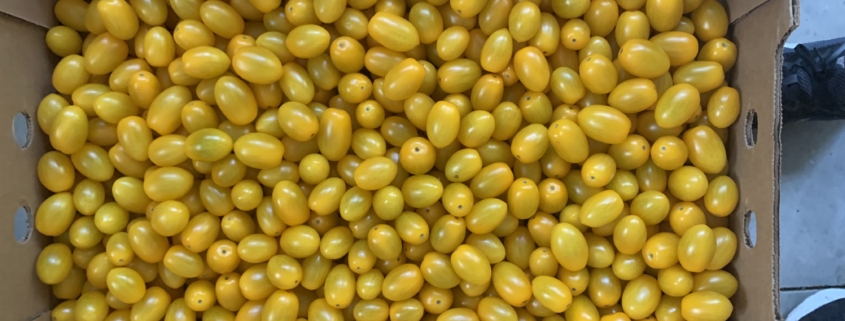 A box full of yellow fruit is shown.