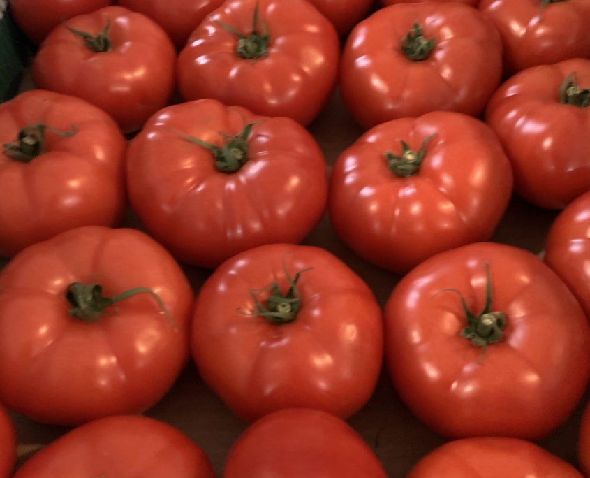 St Louis tomatoes delivered all winter long