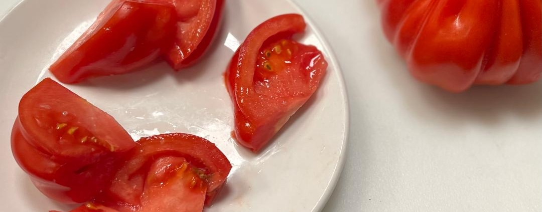 A white plate topped with sliced tomatoes next to a tomato.