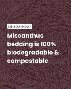 Miscanthus bedding