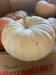 Medium white pumpkins
