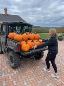 Bulk pumpkins